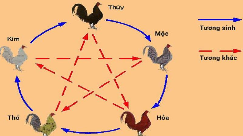 80 màu mạng gà đá được nhiều người chơi quan tâm